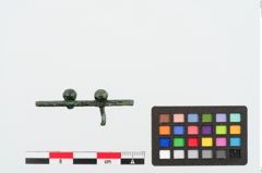 Foto von Bronzenietband (NHMW-PRAE-024945)
